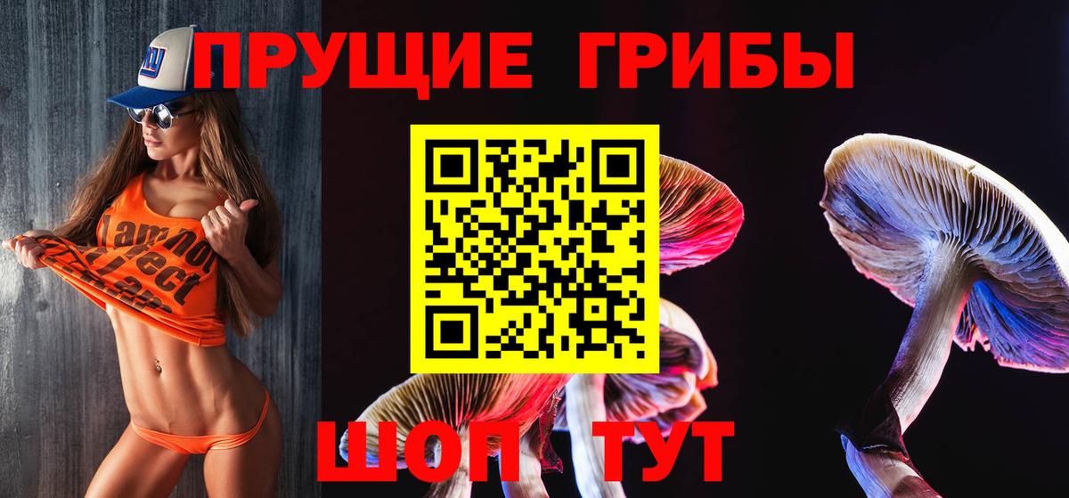 Галлюциногенные грибы Magic Shrooms  где найти наркотики  Нефтекумск  Вход с VPN 